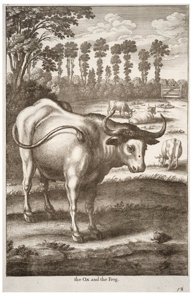 Il bue e la rana da Wenceslaus Hollar